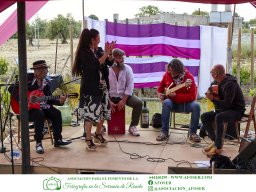 Festival Mar de Tethys 2026 - Bodega Vetas